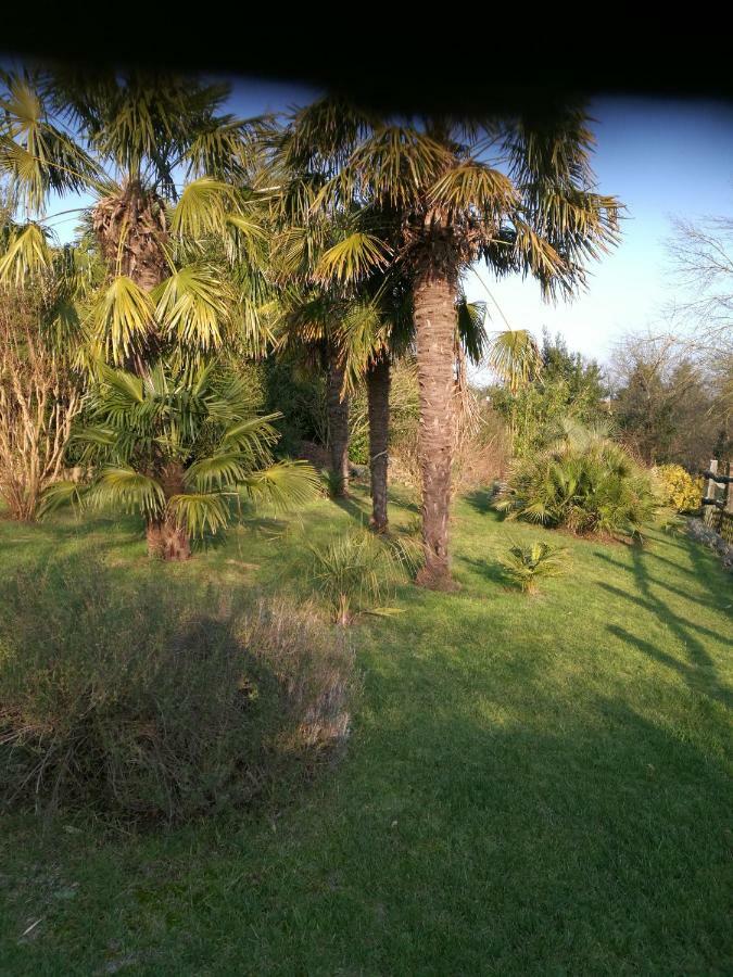 Vila Le Coing La Guiltiere Exteriér fotografie